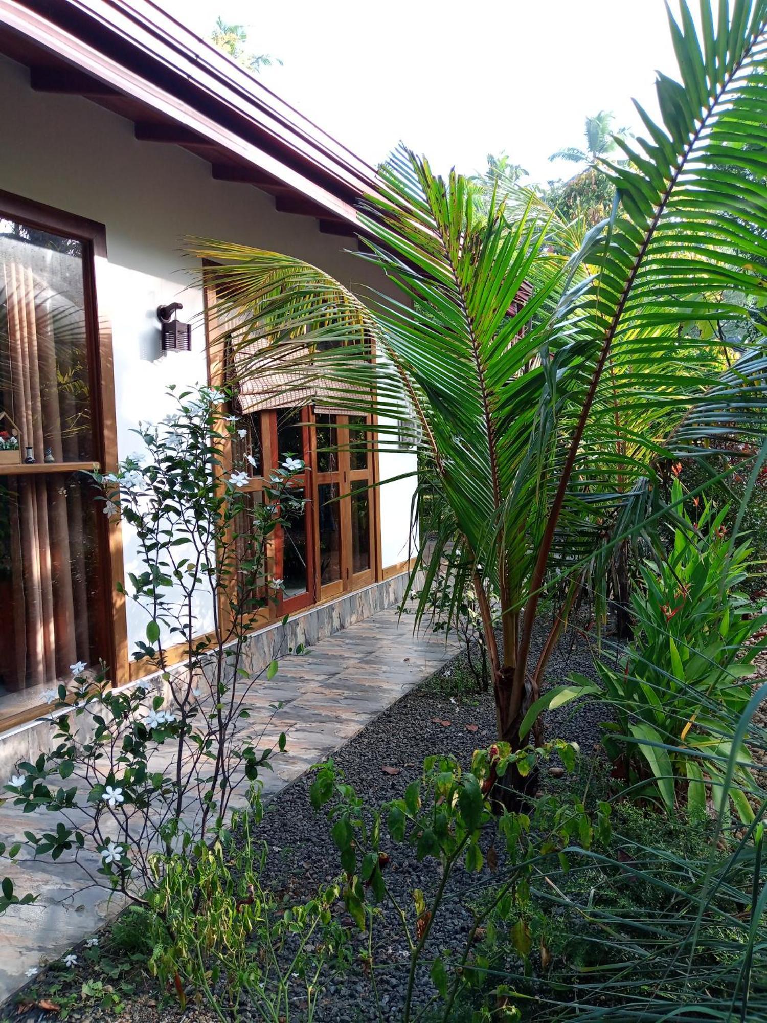 Luxury Villa With Bb Free Wi-Fi Bentota Eksteriør bilde